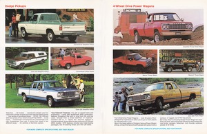 1978 Dodge Pickup Trucks (Cdn)-02-03.jpg